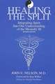 Healing the Split: Integrating Spirit Into Our Understanding of the Mentally Ill, Revised Edition