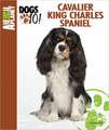 Cavalier King Charles Spaniel