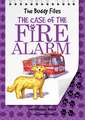 The Case of the Fire Alarm