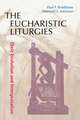 The Eucharistic Liturgies: Their Evolution and Interpretation