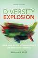 Diversity Explosion: How New Racial Demographics Are Remaking America