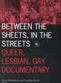 Between the Sheets, in the Streets: Queer, Lesbian, Gay Documentary