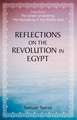 Reflections on the Revolution in Egypt