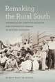 Remaking the Rural South