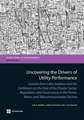 Uncovering the Drivers of Utility Performance: Lessons from Latin America and the Caribbean on the Role of the Private Sector, Regulation, and Governa