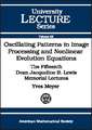 Oscillating Patterns in Image Processing and Nonlinear Evolution Equations: The Fifteenth Dean Jacqueline B. Lewis Memorial Lectures