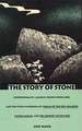 The Story of Stone – Intertextuality, Ancient Chinese Stone Lore, and the Stone Symbolism in Dream of the Red Chamber, Water Margin, and The Jo