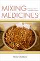 Mixing Medicines – Ecologies of Care in Buddhist Siberia