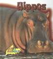 Hippos