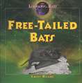 Free-Tailed Bats