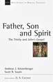 Father, Son and Spirit: The Trinity and John's Gospel