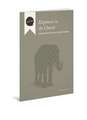 Elephants in the Church Facilitator's Guide: Conversations We Can't Afford to Ignore