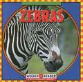 Zebras