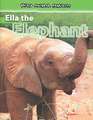 Ella the Elephant