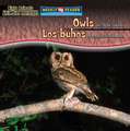 Owls Are Night Animals/Los Buhos Son Animales Nocturnos