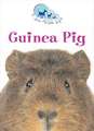 Guinea Pig