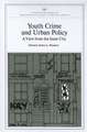 Youth Crime and Urban Policy: A View from the Inner City (AEI Symposia)