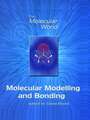 Molecular Modelling and Bonding: Rsc