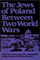 The Jews of Poland Between Two World Wars