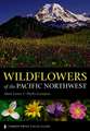 Wildflowers of the Pacific Northwest