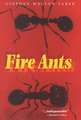 Fire Ants