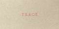 Jenny Holzer