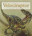 Velociraptor