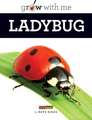 Ladybug