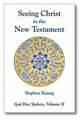 Seeing Christ in the New Testament