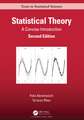 Statistical Theory: A Concise Introduction