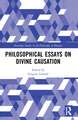 Philosophical Essays on Divine Causation