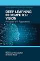 Deep Learning in Computer Vision: Principles and Applications