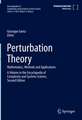 Perturbation Theory: Mathematics, Methods and Applications