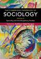 The Cambridge Handbook of Sociology: Specialty and Interdisciplinary Studies