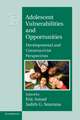 Adolescent Vulnerabilities and Opportunities: Developmental and Constructivist Perspectives