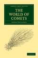 The World of Comets