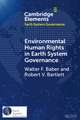 Environmental Human Rights in Earth System Governance: Democracy beyond Democracy