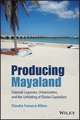 Producing Mayaland – Colonial Legacies, Urbanization, and the Unfolding of Global Capitalism