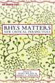 Rhys Matters: New Critical Perspectives