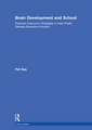Brain Development and School: Practical Classroom Strategies to Help Pupils Develop Executive Function