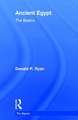 Ancient Egypt: The Basics