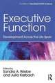 Executive Function: Development Across the Life Span