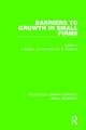 Barriers to Growth in Small Firms