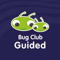 BUG CLUB KS1 PRO GUIDED TEACHING GUIDE P