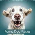 Funny Dog Faces (Wall Calendar 2018 300 × 300 mm Square)