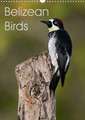 Belizean Birds (Wall Calendar 2020 DIN A3 Portrait)