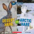 Geron, E: Desert Hare or Arctic Hare (Wild World: Hot and Co