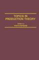 Topics in Production Theory