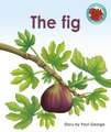 The Fig