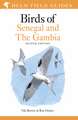 Field Guide to Birds of Senegal and The Gambia: Second Edition